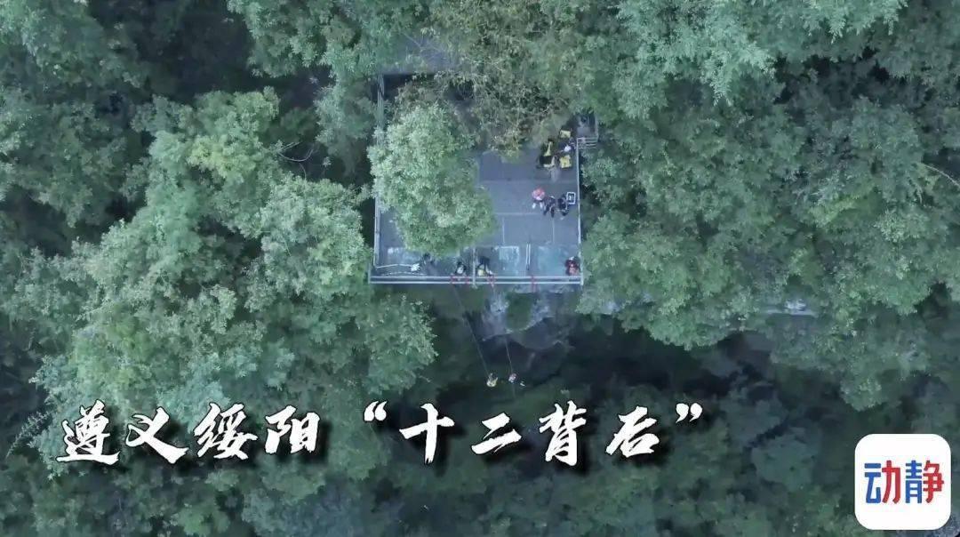 破碎的动物图形3