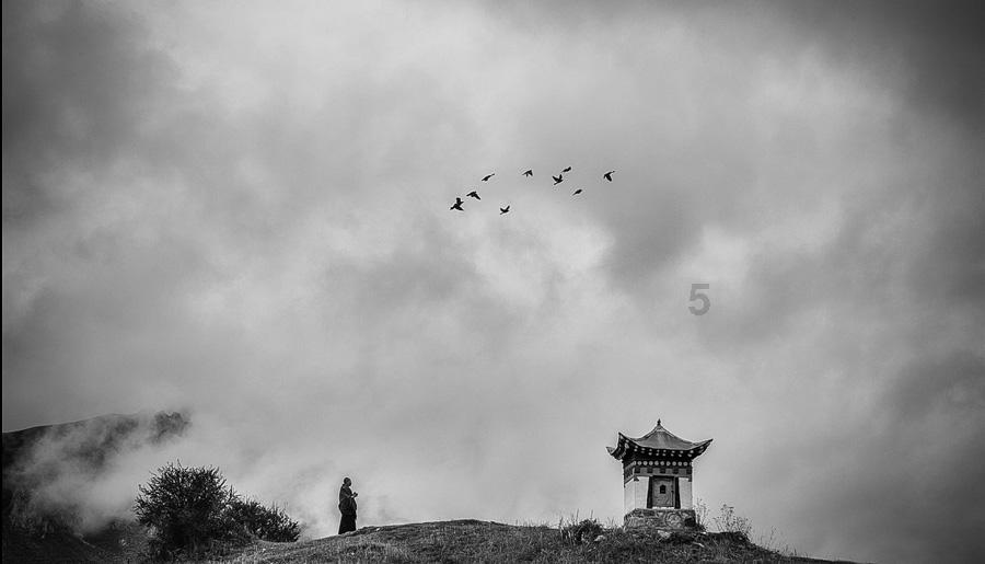 武汉/重庆/无锡马拉松 | 9周半马PB130、145、200、215、230训练计划