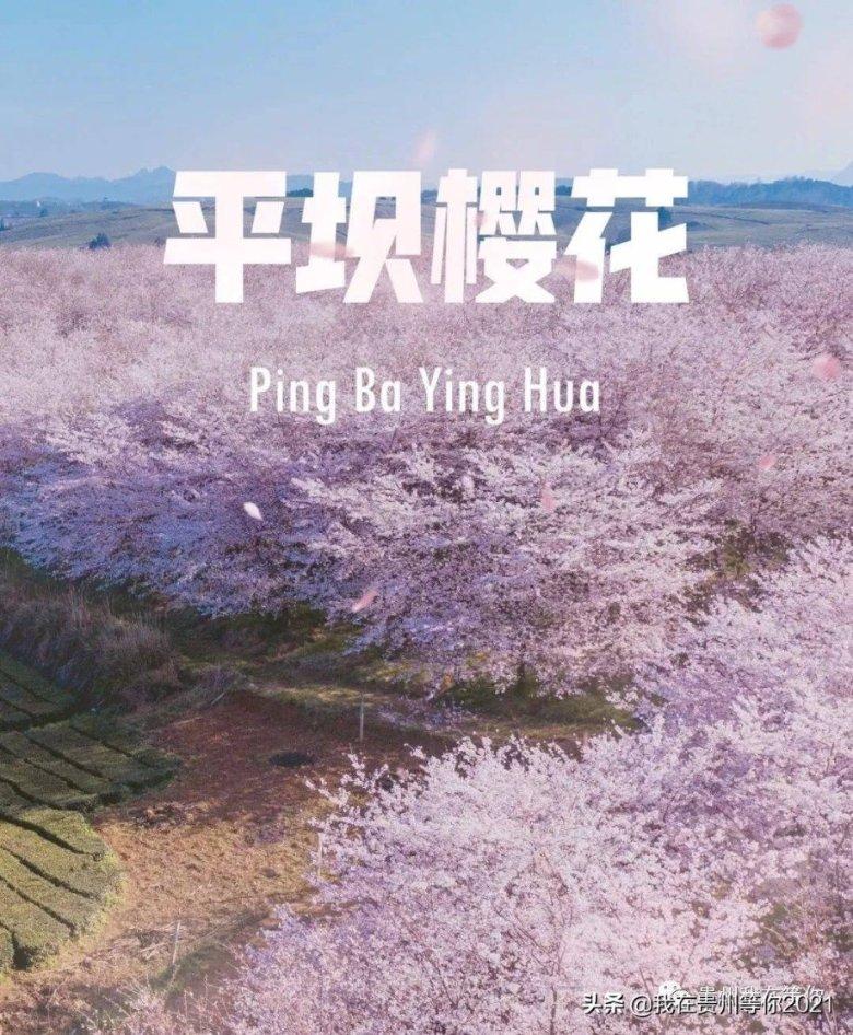 古龙群侠传