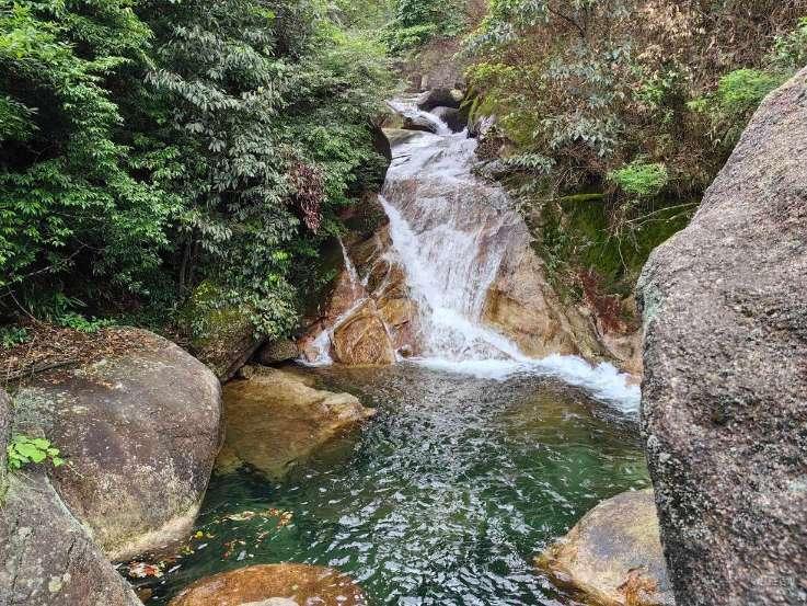 闹剧一场?顾言右起诉张雪峰又撤诉,张雪峰发文疑似作出回应