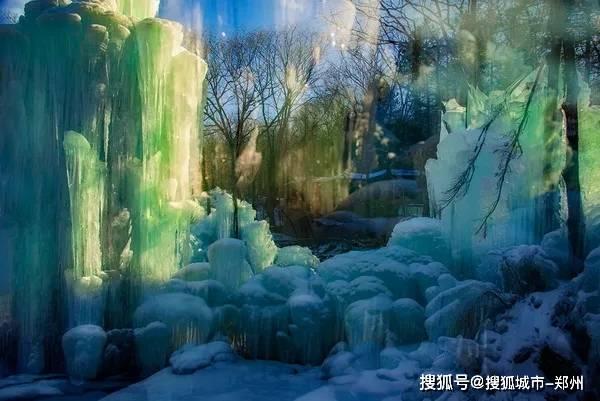 救援受困的萌兔